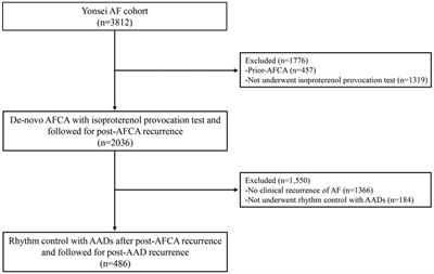 Do extra-pulmonary triggers or autonomic neural activity affect rhythm control by anti-arrhythmic drugs in patients with post-ablation atrial fibrillation recurrence?